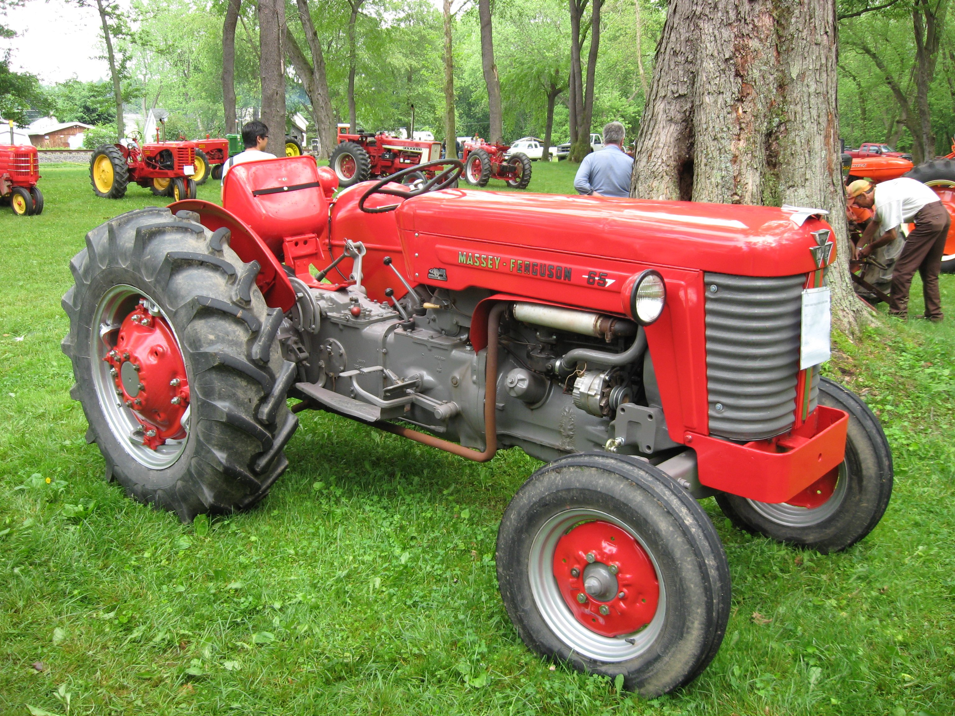 mf 65x
        -14878 horas de motor
        -2 pneus traseiros radiais novos
        -bomba injetora nova
        -único dono